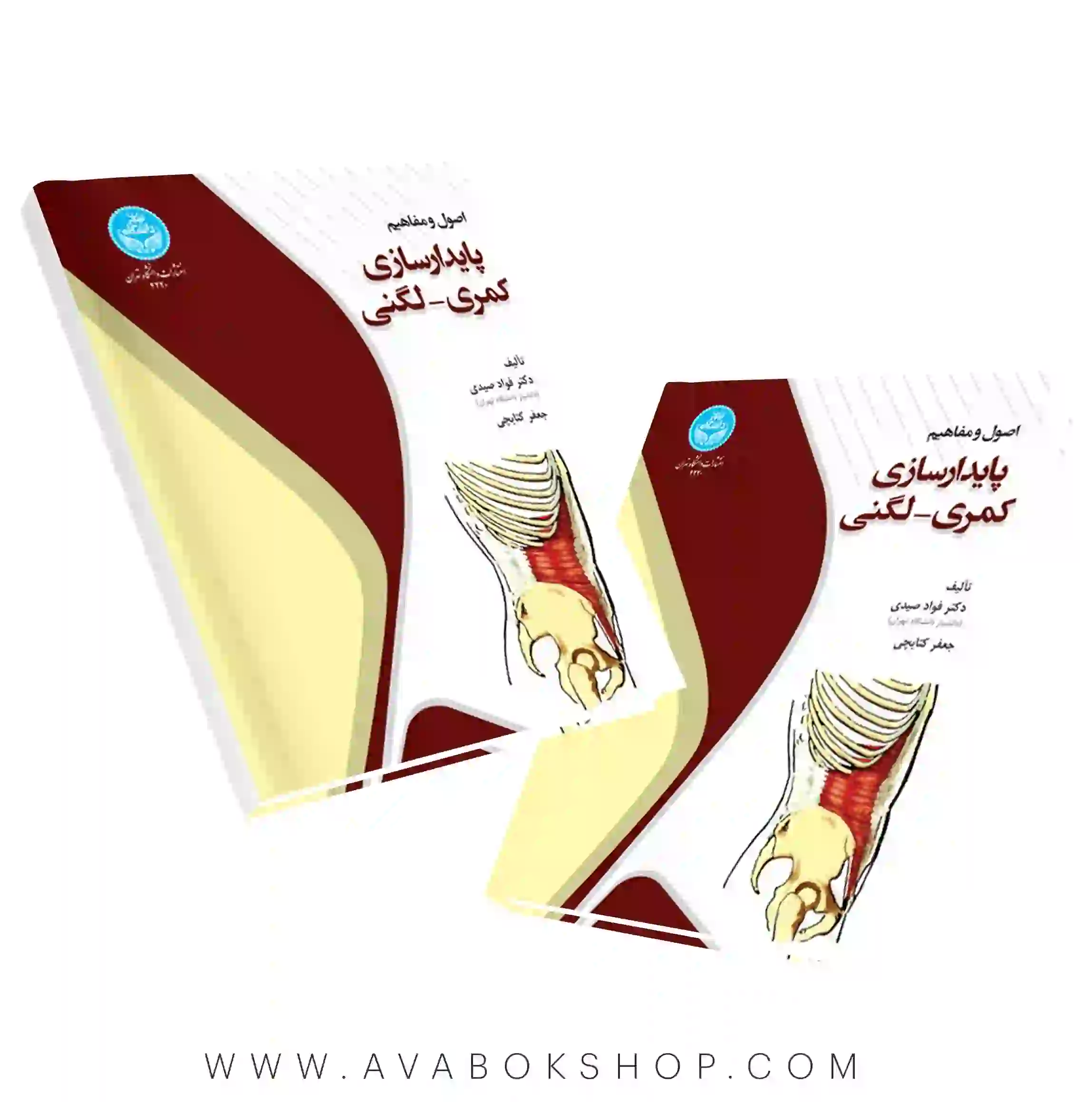 کتاب اصول و مفاهیم پایدارسازی کمری لگنی جعفر کتابچی انتشارات دانشگاه تهران