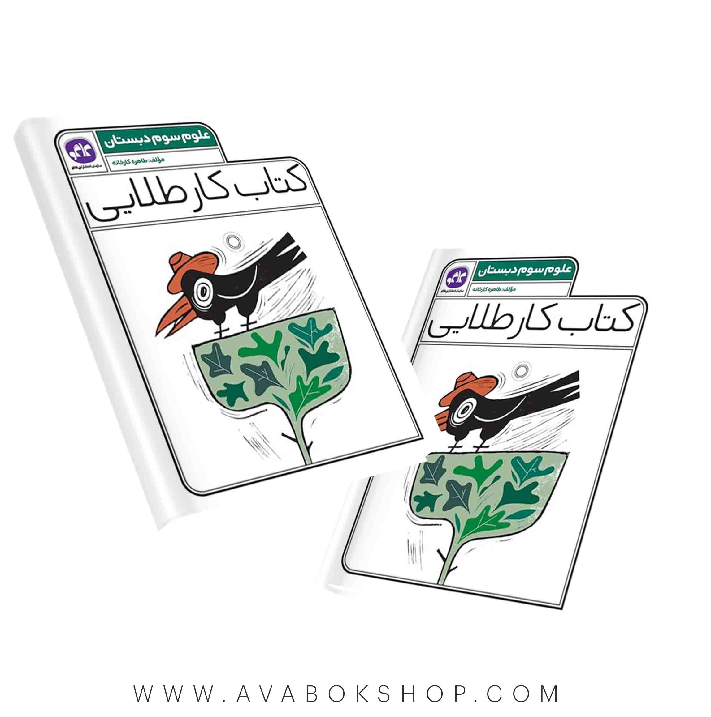 کتاب کار طلایی علوم سوم دبستان کاگو