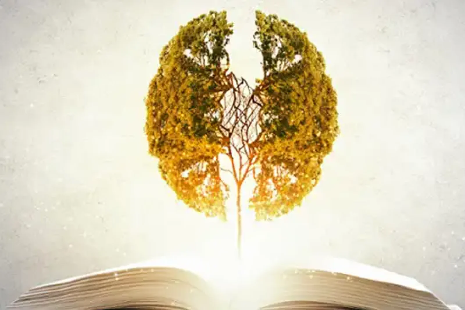 تاثیر مطالعه روی ذهن